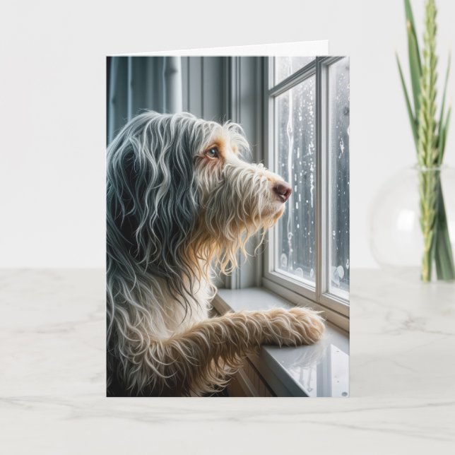 Thinking of You Bearded Collie Looking at Rain Card (Front)