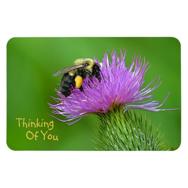 "Thinking Of You" Bee Magnet (Horizontal)