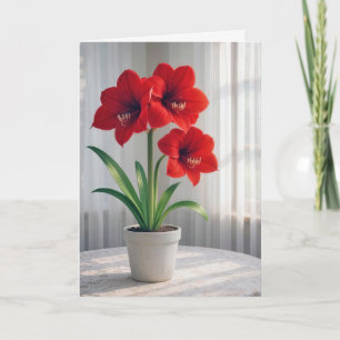 Thinking of You Blooming Red Amaryllis  Card
