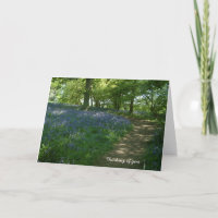 Thinking of you | Bluebell Woods