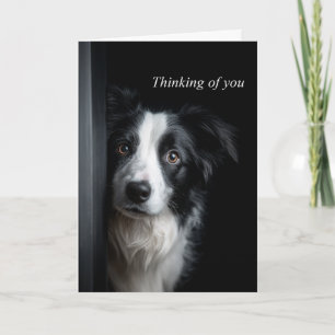 Thinking of You Border Collie Card