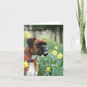 Thinking of you boxer dog greetings card