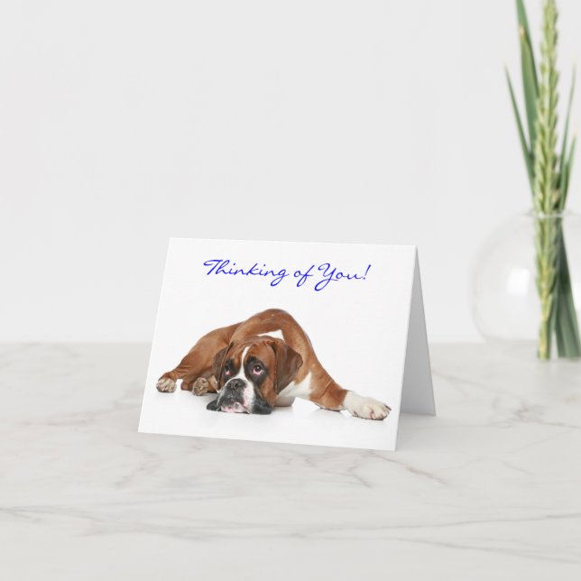 Thinking of You  Boxer Note Card  - Blank Inside (Front)