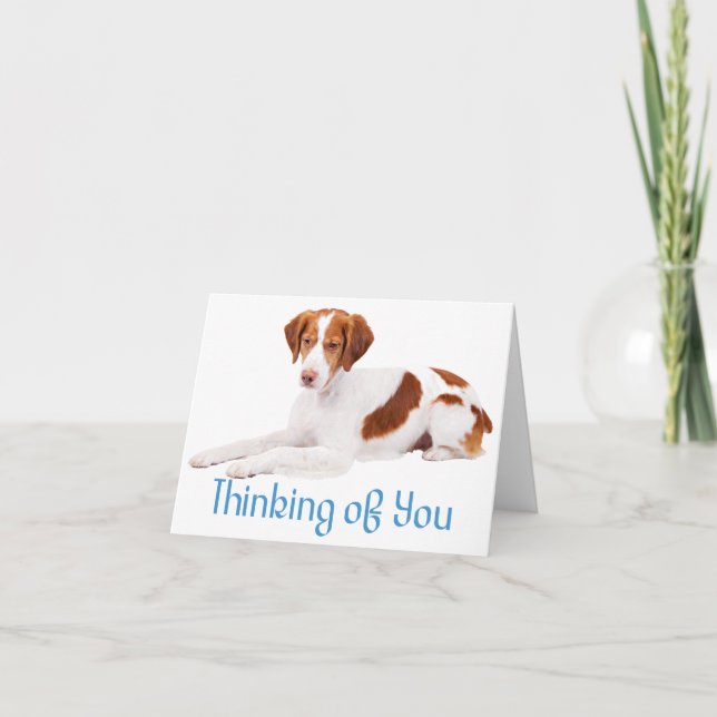 Thinking Of You Brittany Spaniel Puppy Dog Card (Front)