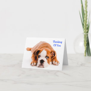 Thinking of You Bulldog Greeting Card