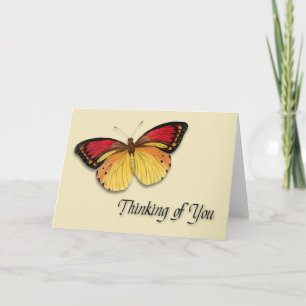 Thinking of You butterfly Card