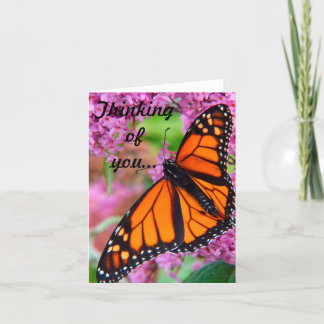 Thinking of you Butterfly Card