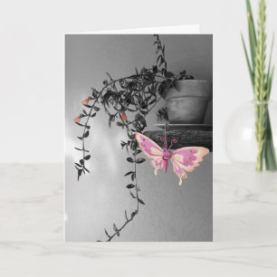Thinking Of You Butterfly Still Life Photograph Card