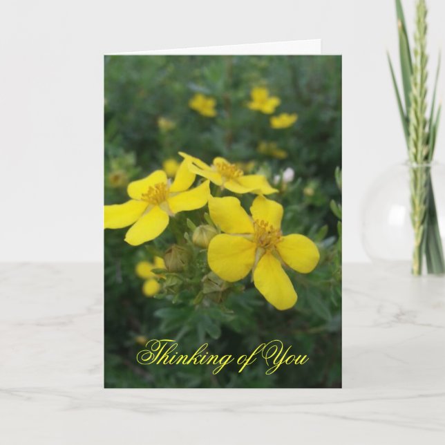 Thinking of You Card (Front)