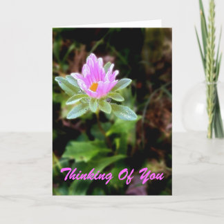 Thinking Of You Card