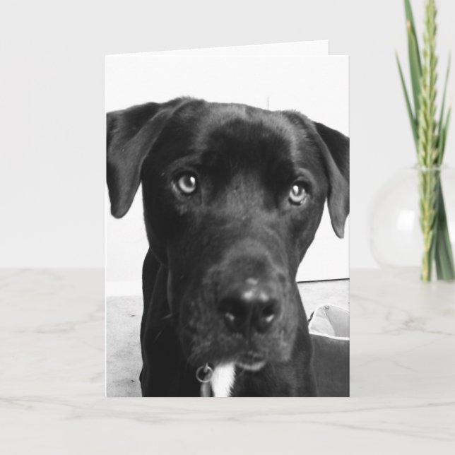 Thinking of you card (Front)