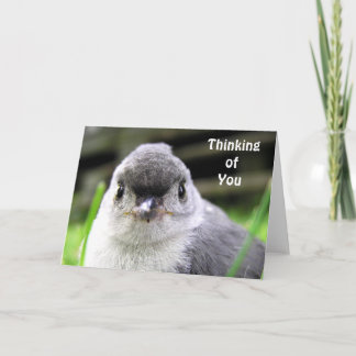 Thinking of You Card