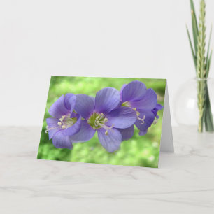 Thinking of you card