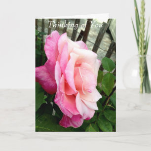 Thinking of You. Card