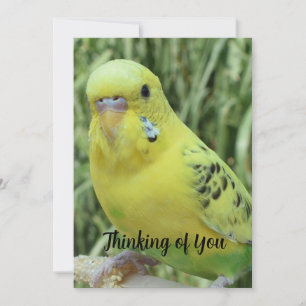 Thinking of You card