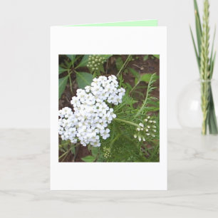 Thinking of You Card