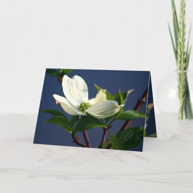 Thinking of you card (Front)