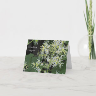 Thinking of You card - flowers