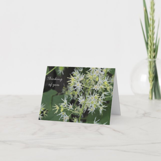 Thinking of You card - flowers (Front)