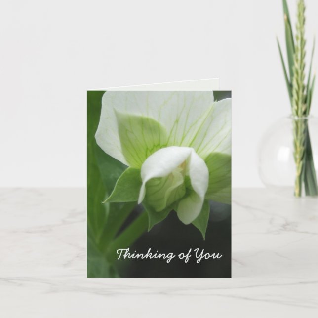 Thinking of You Card Fully Customisable (Front)