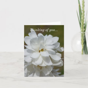 Thinking Of You Card - Silky Magnolia