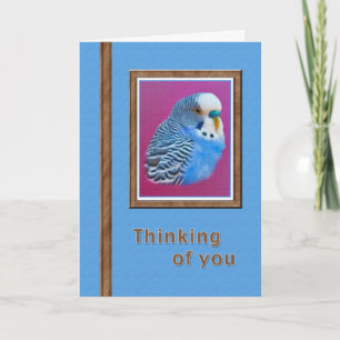 Thinking of You Card with Blue Parakeet