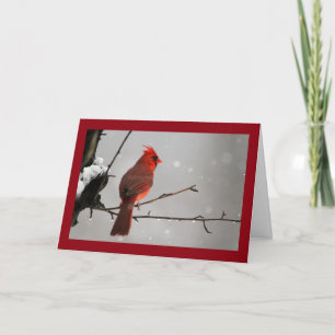 Thinking of you Cardinal Card
