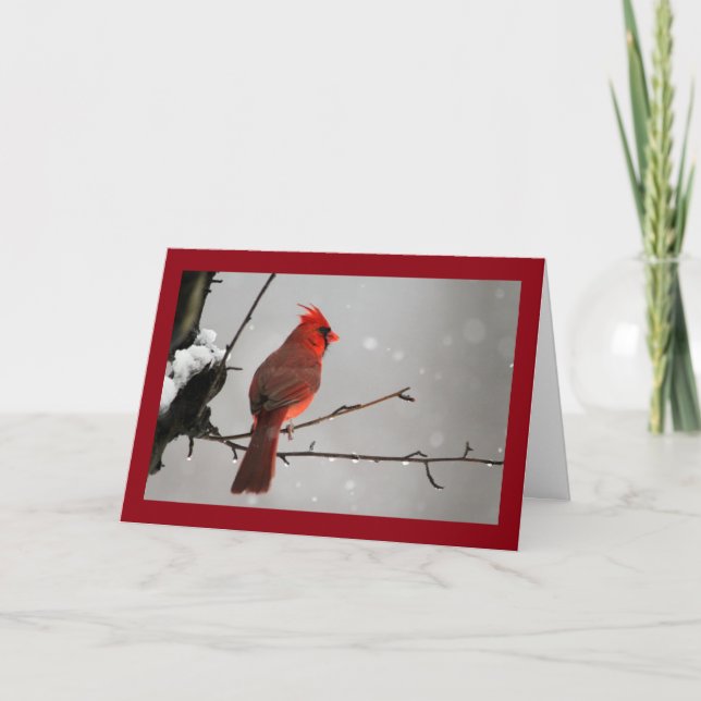 Thinking of you Cardinal Card (Front)