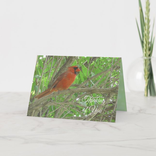 Thinking of You | Cardinal Sitting on Tree Branch  Card (Front)