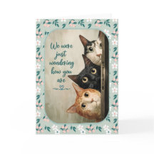 Thinking of You Cat Encouragement