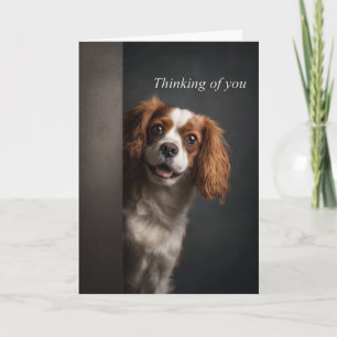 Thinking of You Cavalier Spaniel Card