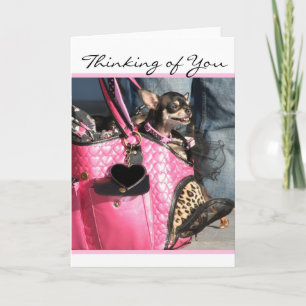 Thinking of you Chihuahua Dog greeting card