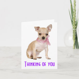 Thinking of You Chihuahua Puppy Dog Greeting Card