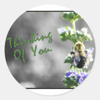 Thinking of You! Classic Round Sticker