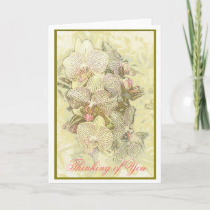 Thinking of You/ classic striped orchids Card