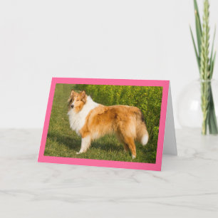 Thinking of You Collie Puppy Dog Card