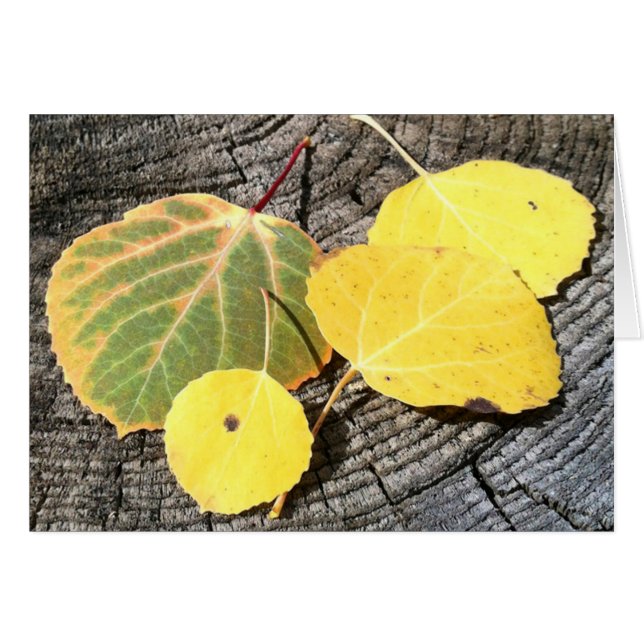 Thinking Of You Colourful Aspen Leaves Custom (Front Horizontal)