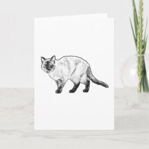 Thinking of You, Curious Cat Card
