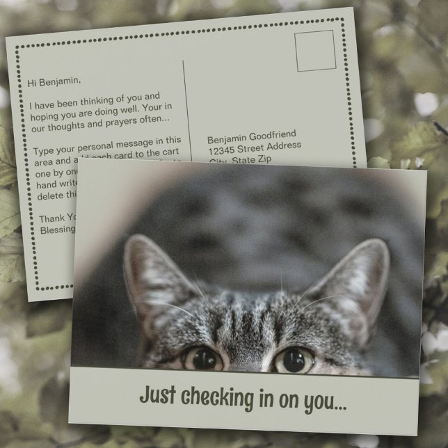 Thinking of You Cute Cat Caption Template Postcard (Thinking of You "Just Checking in on You" Cute Cat Personalized Caption Template Postcard)