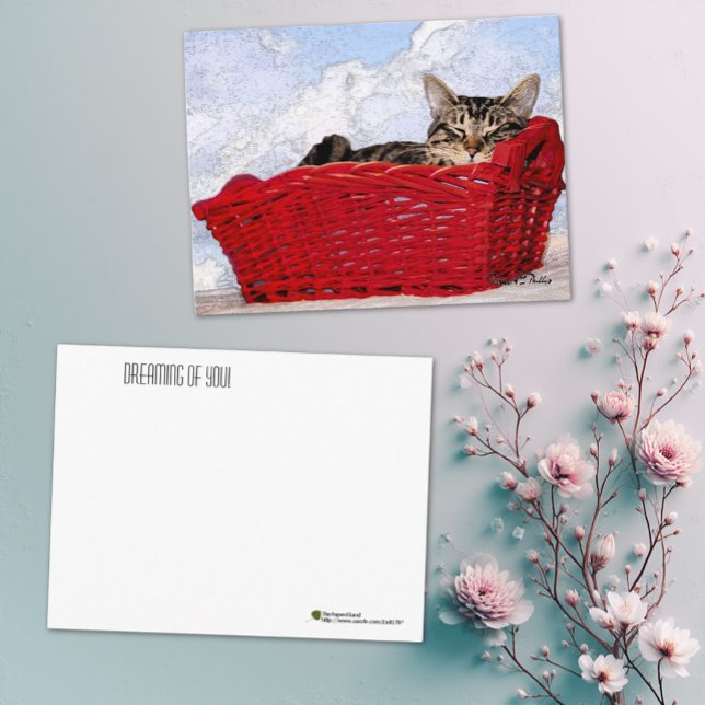 Thinking of You Cute Sleeping Kitten Red Basket  Postcard (Cute kitten in a red basket photograph postcard)