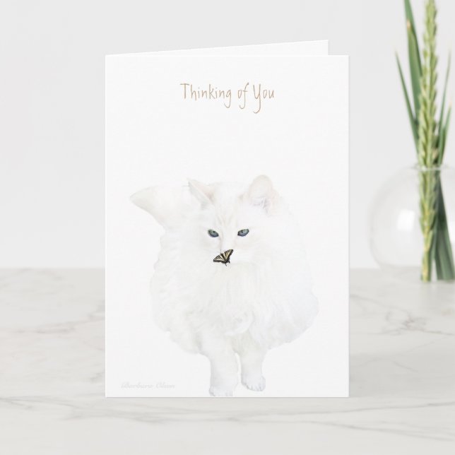 Thinking of you: cute white cat card (Front)