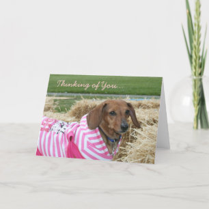 Thinking of you Dachshund greeting card
