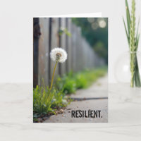 Thinking of You Dandelion Growing In a Sidewalk