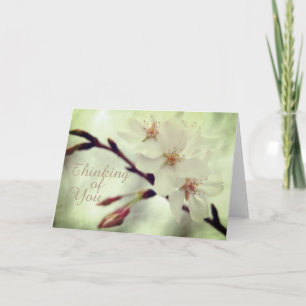 "Thinking of You" Delicate Cherry Blossoms Card