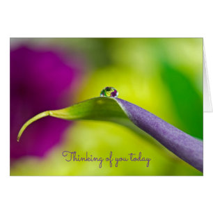 thinking of you dewdrop on leaf