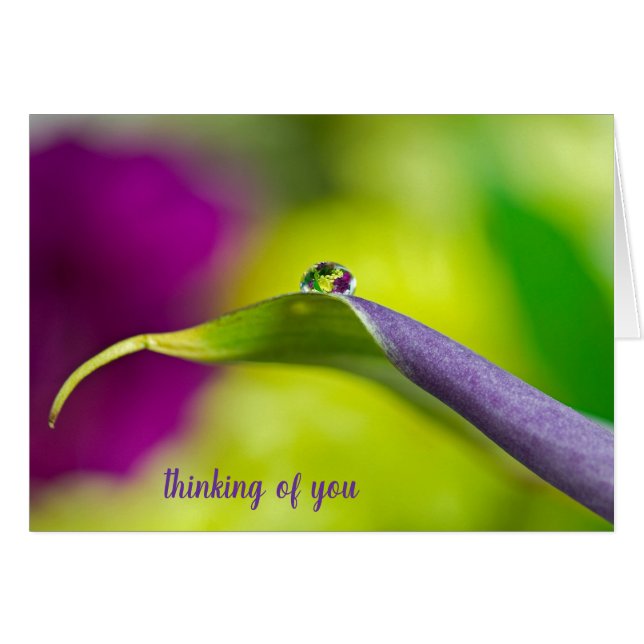 thinking of you dewdrop on leaf (Front Horizontal)