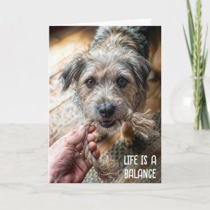 Thinking of You Dog Tug of War Card