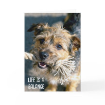 Thinking of You Dog Tug of War