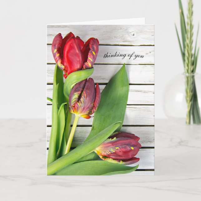 thinking of you-fancy red tulips on wood card (Front)