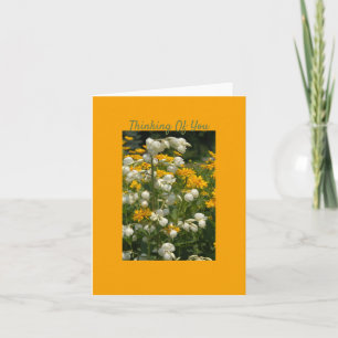 Thinking Of You Folded Greeting Card